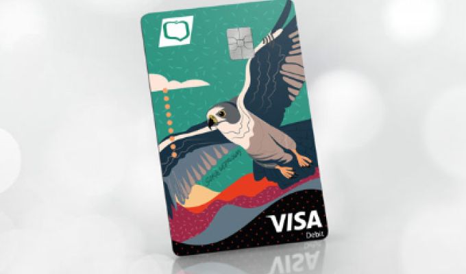 obrazek przedstawia kartę visa z wizerunkiem lecącego sokoła