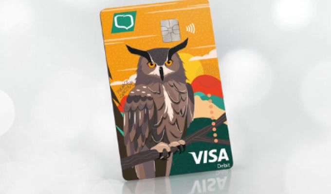 karta visa clasic sowa