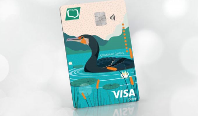 obrazek przedstawia kartę visa z pływającym kormoranem