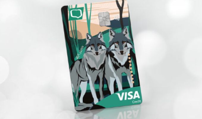 obrazek przedstawa wizerunek karty visa dwa wilki