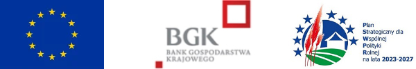 Unii Europejskiej, BGK, Planu strategicznego dla wspólnej polityki rolnej