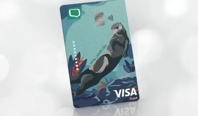 karta visa business euro z foką